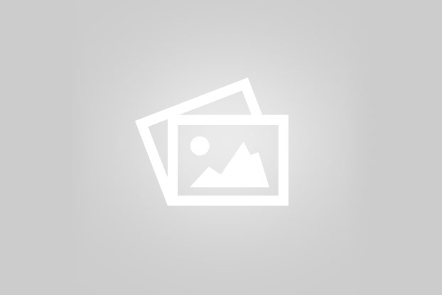 انواع فینگرفود